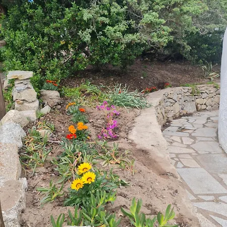 Baia Reparata Holiday home