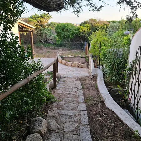 Baia Reparata